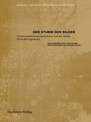 cover image of Der Sturm der Bilder